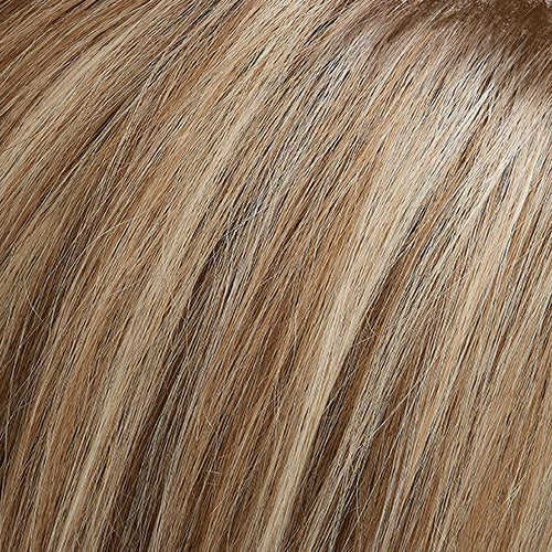 January : Lace Front Synthetic Wig
