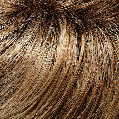 January : Lace Front Synthetic Wig