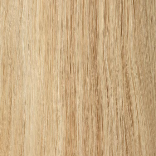 Princessa : Lace Front Hand-Tied Remi Human Hair Wig