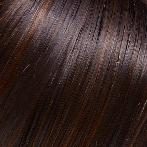 January : Lace Front Synthetic Wig