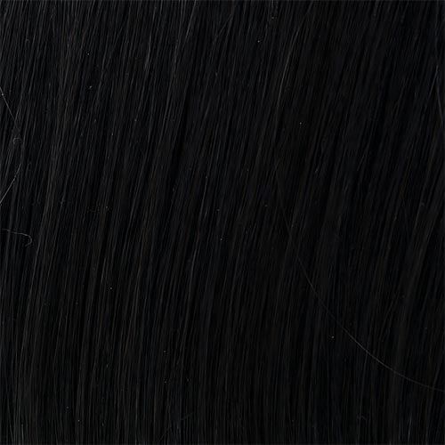 Edge : Lace Front Mono Crown Synthetic Wig