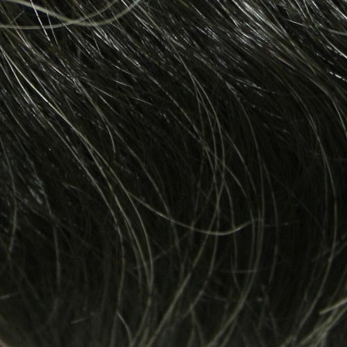 JR : Men"s Synthetic Wig