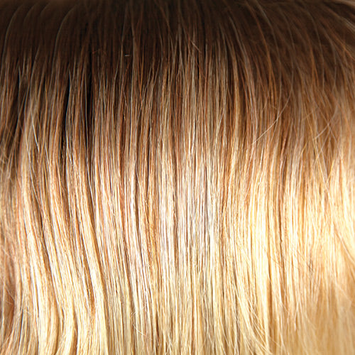 Rylee : Lace Front Synthetic Wig