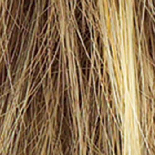 Star Quality : Lace Front Mono Part Synthetic  Wig