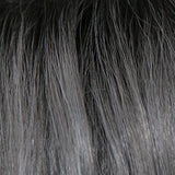 Reign : Lace Front Synthetic Wig