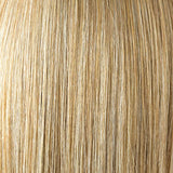 Bay:   Lace Front Synthetic Wig