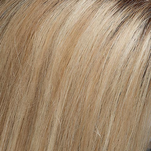January : Lace Front Synthetic Wig