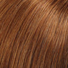 Gwyneth Exclusive : Lace Front all Hand-Tied Remy Human Hair Wig