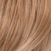Sheer Elegance : Lace Front Synthetic Hair