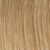 Sheer Elegance : Lace Front Synthetic Hair