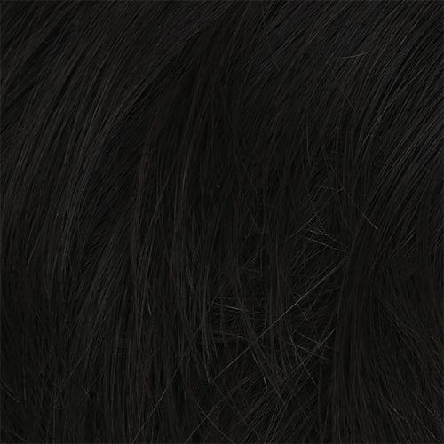 Edge : Lace Front Mono Crown Synthetic Wig