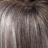 January : Lace Front Synthetic Wig